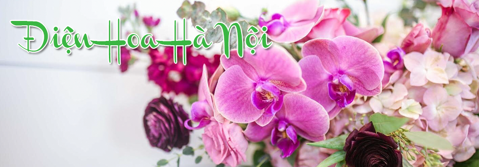 Miễn phí vận chuyển toàn quốc