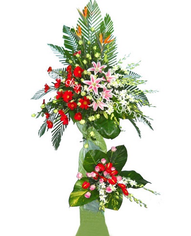 Hoa Mừng Khai Trương 020