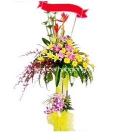 Hoa Mừng Khai Trương 023