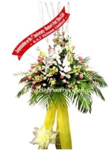 Hoa Mừng Khai Trương 026