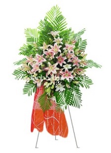 Hoa Mừng Khai Trương 028