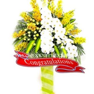 Hoa Mừng Khai Trương 030