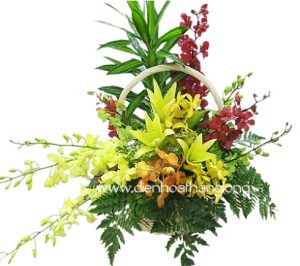 Hoa Giỏ Lẵng 042