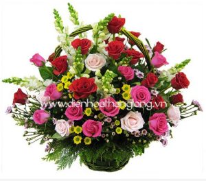 Hoa Ngày Lễ 024